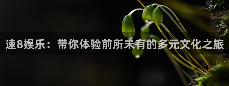 沐鸣2平台官网登录：速8娱乐：带你体验前所未有的多元文化之旅