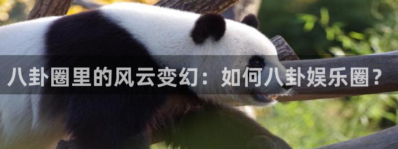 沐鸣2平台：八卦圈里的风云变幻：如何八卦娱乐圈？