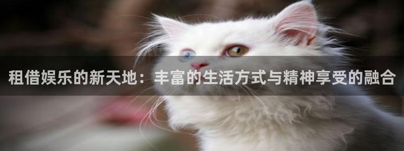 沐鸣2主管：租借娱乐的新天地：丰富的生活方式与精神享受的融合