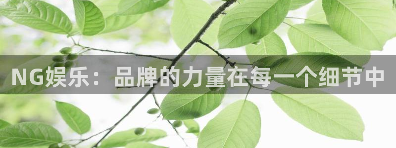 沐鸣2平台官网登录：NG娱乐：品牌的力量在每一个细节中