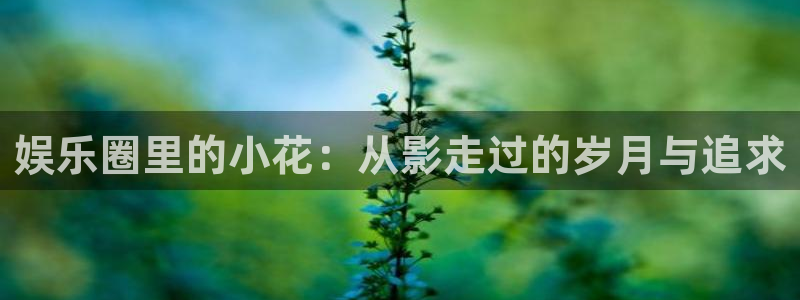 沐鸣2登录：娱乐圈里的小花：从影走过的岁月与追求