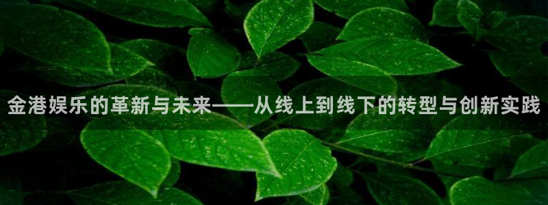 沐鸣官网：金港娱乐的革新与未来——从线上到线下的转型与创新实践