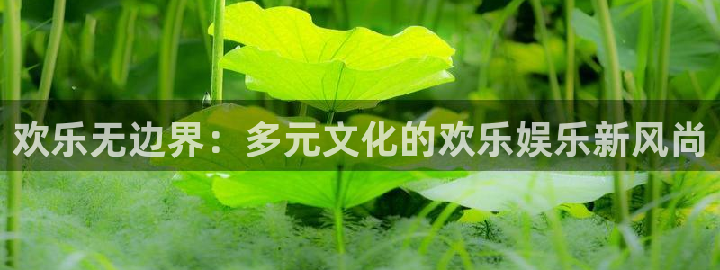 沐鸣科技：欢乐无边界：多元文化的欢乐娱乐新风尚