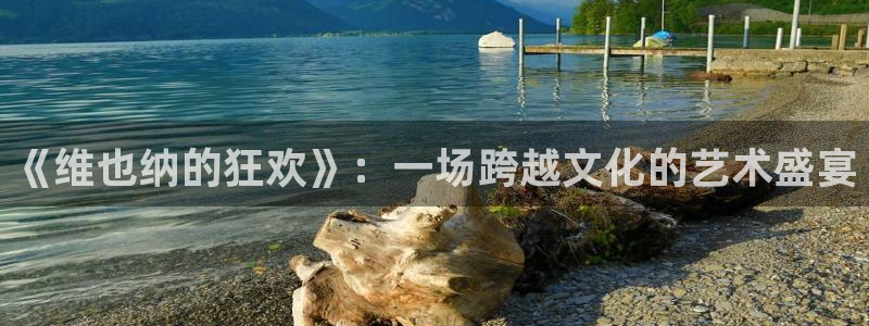 沐鸣2主管：《维也纳的狂欢》：一场跨越文化的艺术盛宴