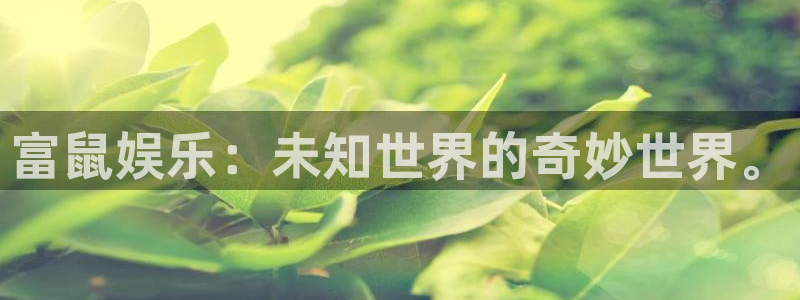 沐鸣2平台官网登录：富鼠娱乐：未知世界的奇妙世界。